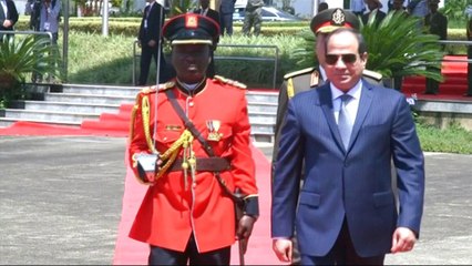 Egypt 2018 elections: Sisi expected to announce bid