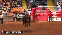 Cowboy RODEO! Riding Bulls n' Horses   Sheep at Fort Worth Stoc