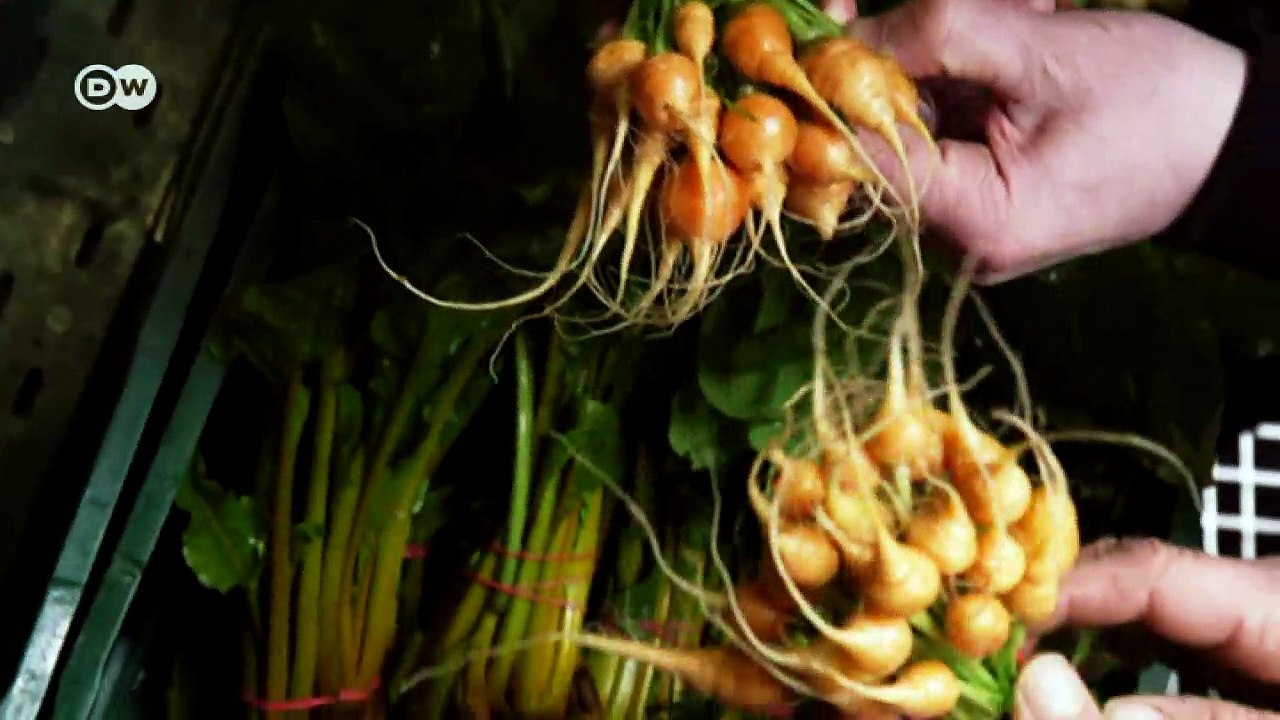 Ausgezeichnetes Gemüse | DW Deutsch