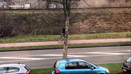 Cycling in a storm is pretty hard work