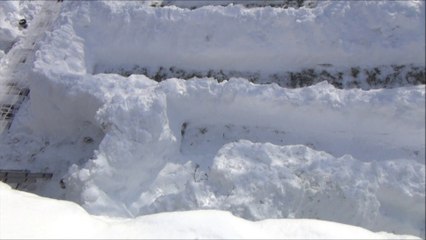 Wrinkles the Pug races through Backyard Snow Maze after Blizzard