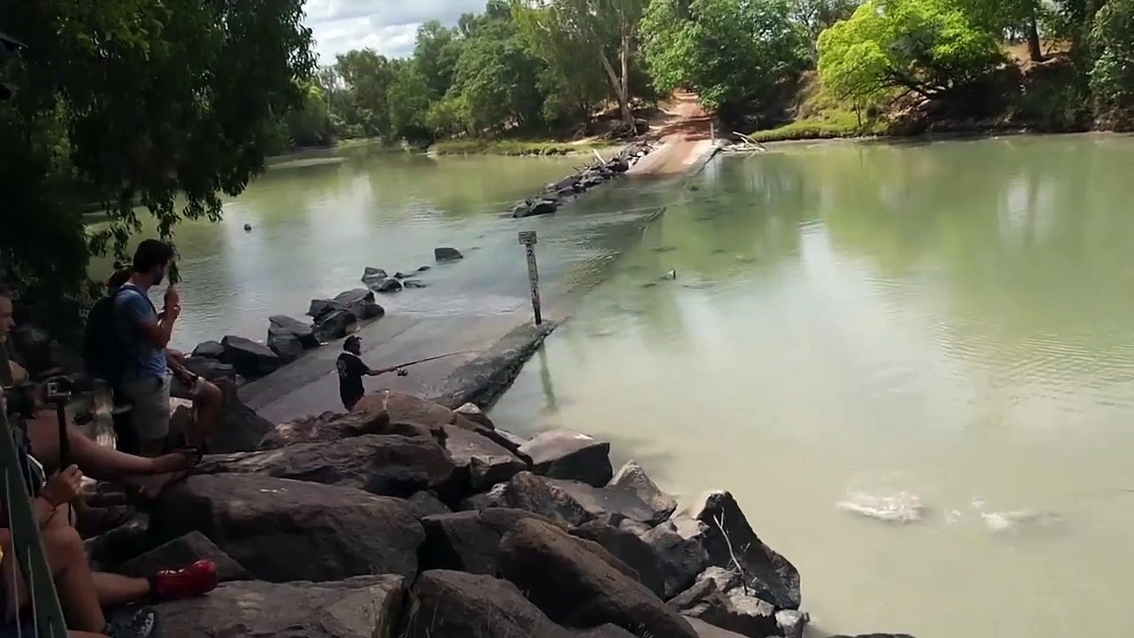Un homme pêche un beau poisson mais un crocodile aimerait bien lui voler
