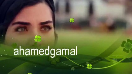 اغنية انا نسيتك عمر واليف