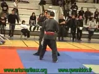 Qwan Ki Do Coupe de France 07 à Beaune finale gradés 1