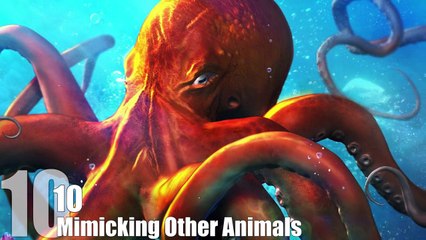 Top 10 TERRIFYING Fs About OCTOPUSES