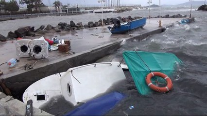 Bodrum’u fırtına vurdu...Balıkçı teknesi battı, ağaçlar devrildi, deniz taştı