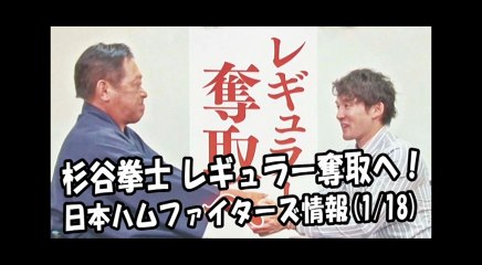 日本ハム 杉谷拳士 レギュラー奪取へ！ 2018.1.18 日本ハムファイターズ情報 プロ野球