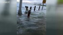 Fırtına Türkiye'yi vurdu! İzmir'de deniz taştı