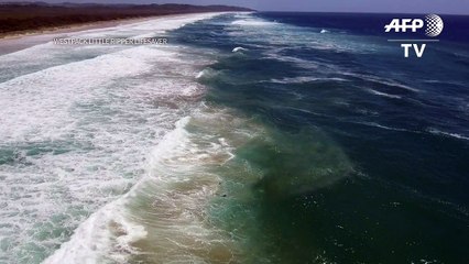 Dron rescata a dos nadadores en Australia