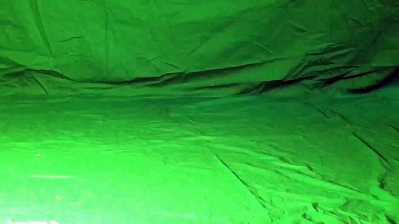 green background video cheeta
