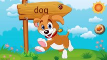 Learning Animals Sounds And Names For Children | Animals Farm in English Puzzle