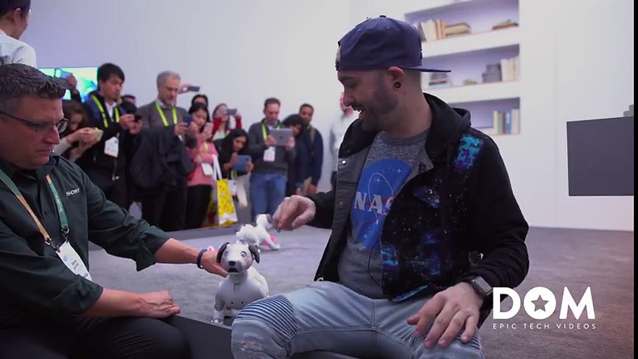 This robot dog is super dope