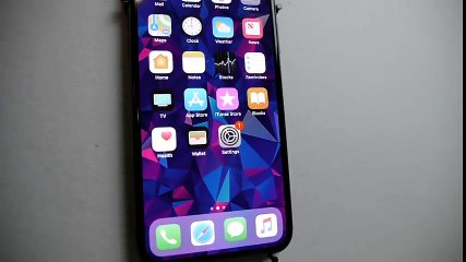Can Porcupine Quills Puncture an iPhone X