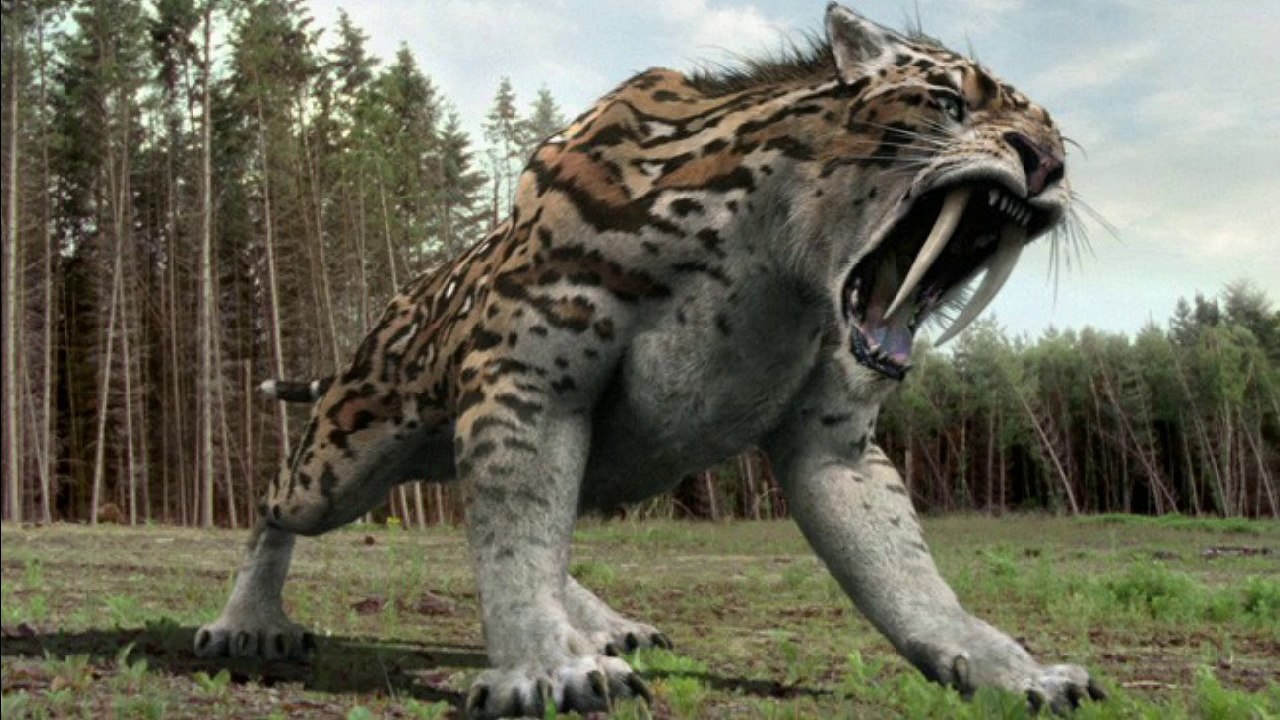 All Carnivorous Mammals (informative)U.9