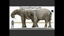 All Extinct Herbivorous Mammals(informative)U.9