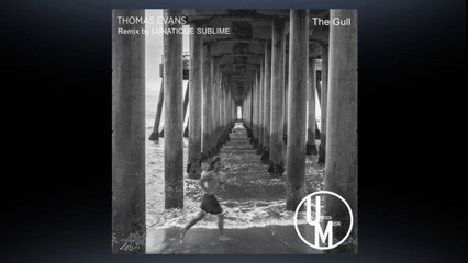 THOMS EVANS - THE GULL (LUNATIQUE SUBLIME Remix)  (Unstuck Musik)