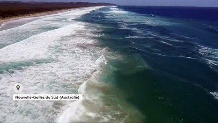 Australie : des nageurs secourus en mer par un drone