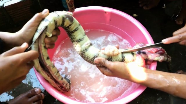 Village Food - Three Boys Cook Water Snake Soup - Cutting and Cleaning Snake