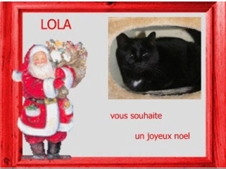NOEL ENTRECHATS