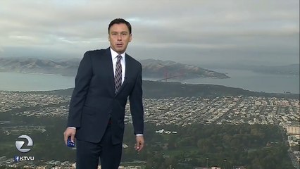 Présentateur météo photobombé par un corbeau