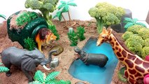 ZOO Wild Animals In Jungle Safari/Learn Names and Sounds of Forest Animals With Scheich Toys
