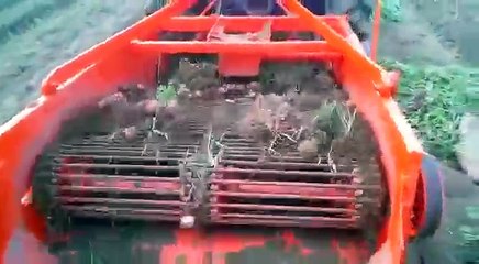 Double Row Potato Digger