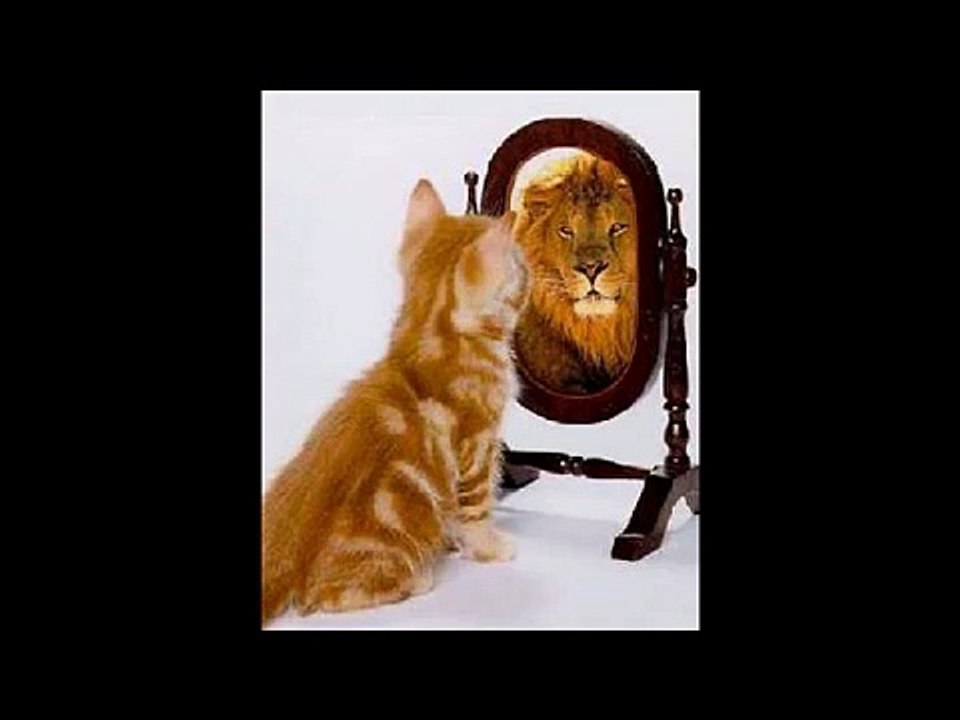 NARCISSISME ET IDOLATRIE PASTORALE AU FEU