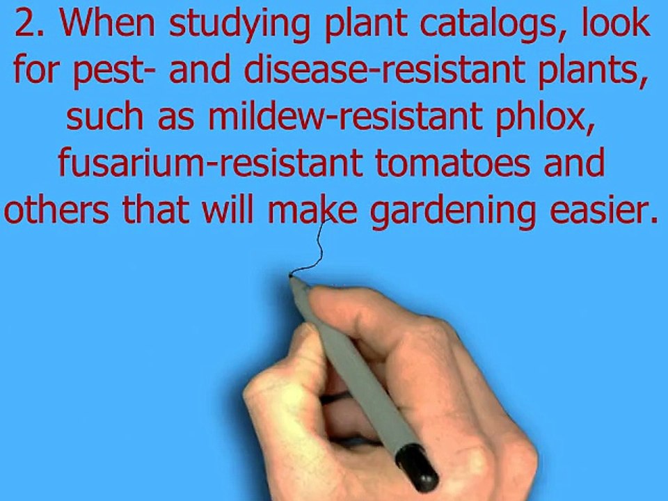 garden12 choices video