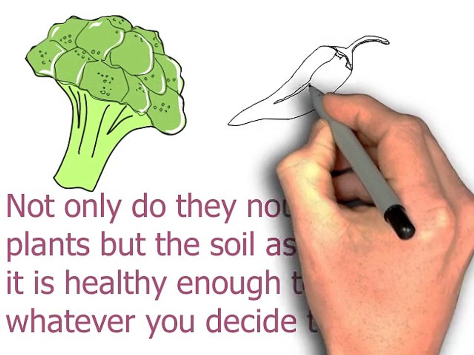 organic fertilizers video