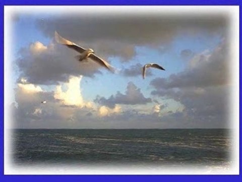 Sebastien Parmi les Hommes