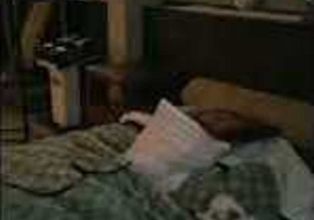 Doggo Enjoys High-Flying Game With Owner