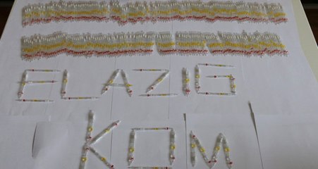 Elazığ'da 280 Tüp Kobra Yılanı Zehiri Ele Geçirildi