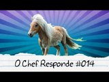 Massacre dos Pôneis :( - O Chef Responde #014