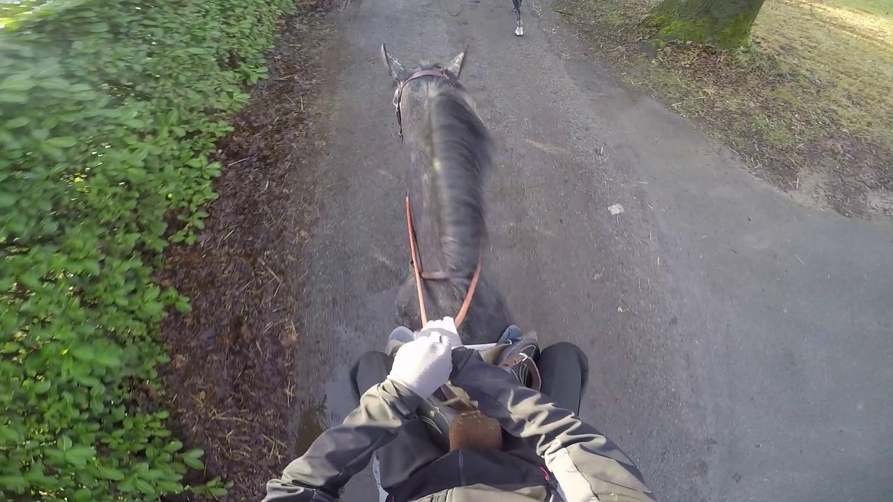Embarquez sur un cheval de course de l'écurie Charles Gourdain