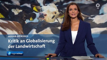 SCHWERPUNKT: Grüne Woche in Berlin - Kritik an Landwirtschaft | Tagesschau24 [HD 1080p]