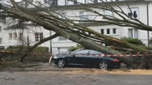 Temporal provoca tres muertos en Alemania y paraliza el tráfico ferroviario