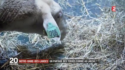 Notre-Dame-des-Landes : le modèle du Larzac