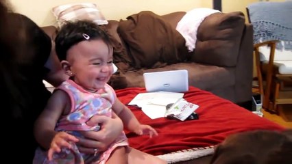 Labrador Dog and Baby Having Fun after a long time no see