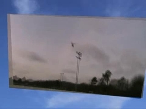 22° vol Honey Bee King2