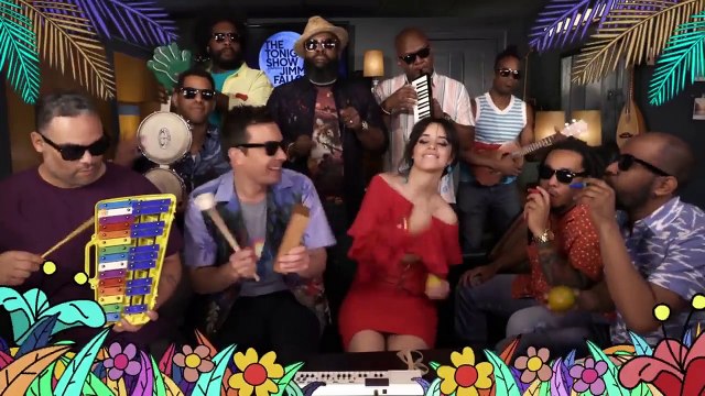 Camila Cabello Hints She Has A Boyfriend | Hollywoodlife