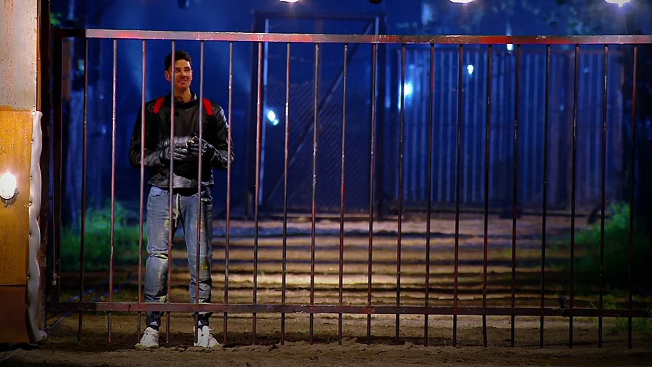 Release the Hounds 18th January 2018