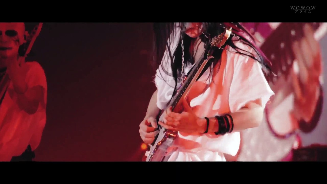 Y.ava New Intro