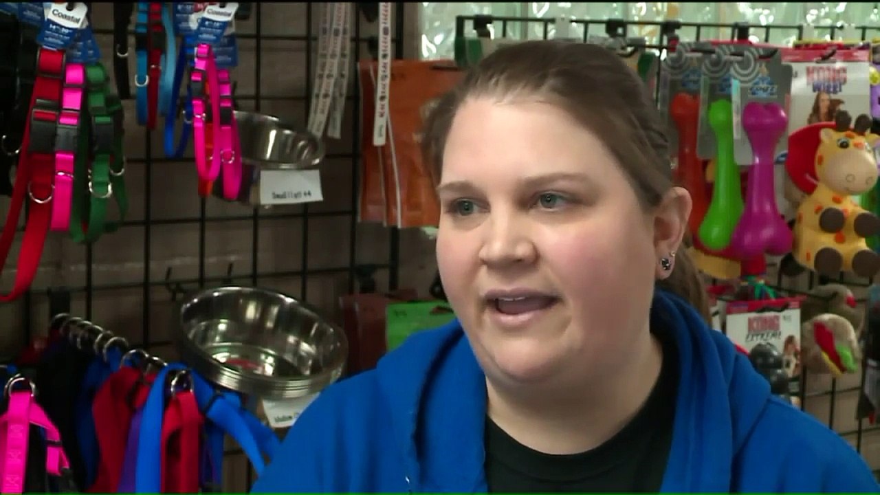 Dog Returned to Owner After Shelter Employee Fabricated Dognapping Story: Police