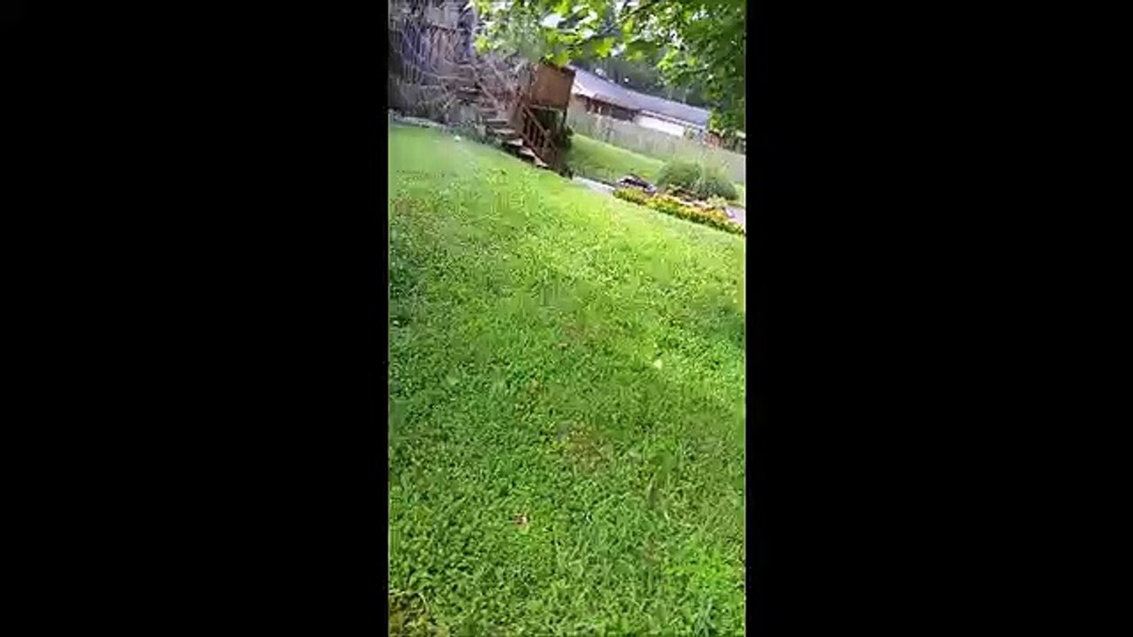 Big Web