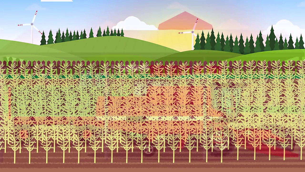 Traktory Kombajn Prace Na Farmie Zbiór Rzepaku Bajka Dla Dzieci Rolnictwo