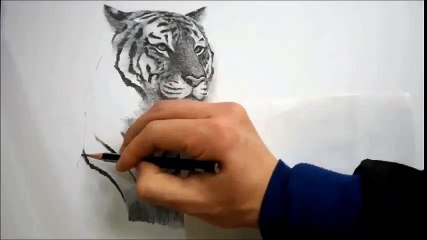 연필그림 - 동물 (호랑이) 그리기