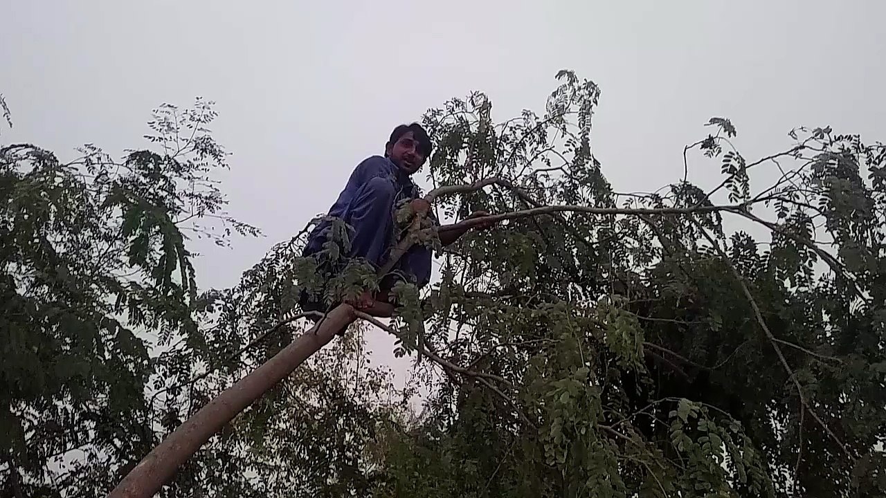 Pakistani Boy Funny Dance 2017  || Best Ever Funny Video 2017 || Laughter Challenge  || Hot Dance Video || Boy Dance Video || Indian Dance Video || Funny Dance Video  || Dance Video    || Mujra Dance  Video  || Dance video clip