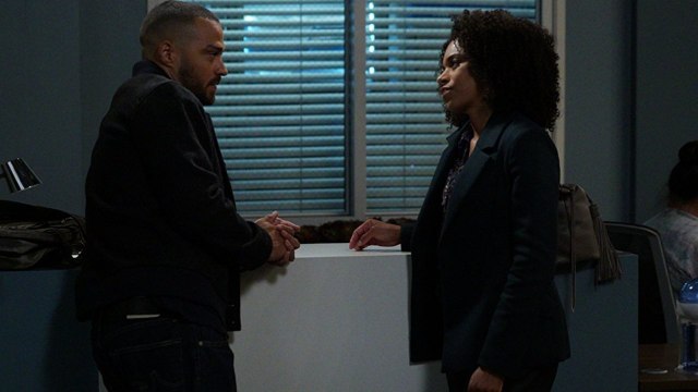 Grey's Anatomy Four Seasons in One Day Series 14, Episode 9