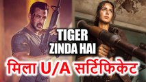 Salman Khan और Katrina Kaif की फिल्म Tiger Zinda Hai को मिला UA Certificate