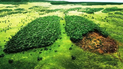 Mutter Erde - Rap über die Natur | Deutsch Rap Mother Earth | Rapper Phys